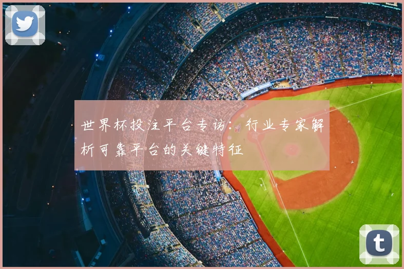 世界杯投注平台专访：行业专家解析可靠平台的关键特征