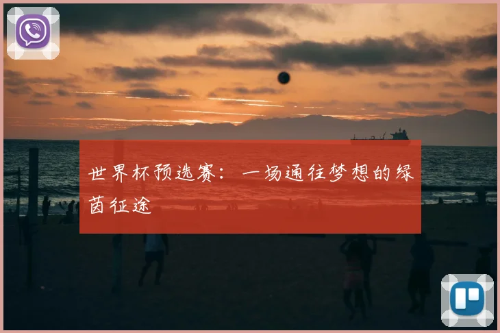 世界杯预选赛:一场通往梦想的绿茵征途
