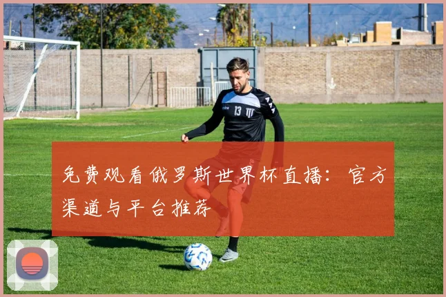 免费观看俄罗斯世界杯直播：官方渠道与平台推荐
