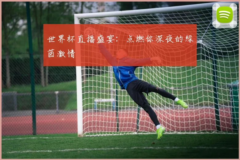 世界杯直播盛宴：点燃你深夜的绿茵激情