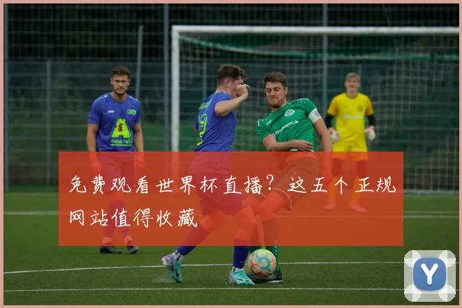 免费观看世界杯直播？这五个正规网站值得收藏