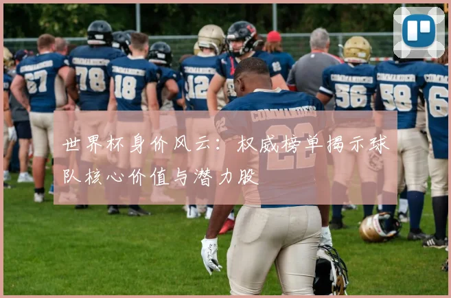 世界杯身价风云：权威榜单揭示球队核心价值与潜力股