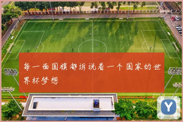 每一面国旗都诉说着一个国家的世界杯梦想