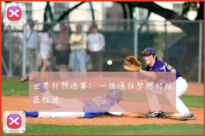 世界杯预选赛:一场通往梦想的绿茵征途
