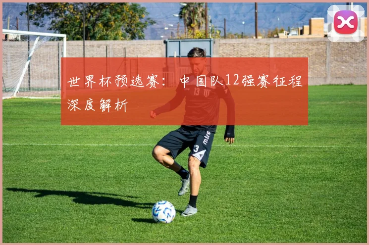 世界杯预选赛:中国队12强赛征程深度解析