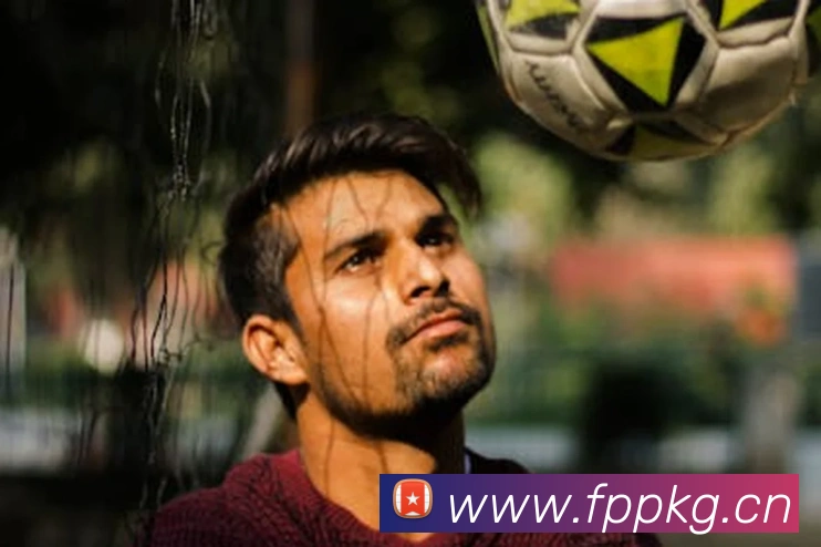 mksports平台最新公告平台生态图